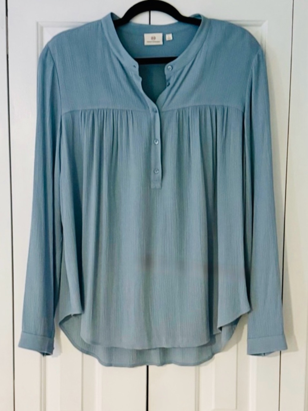 AG Flowy Button Front Blouse Size L Blue Sheer Lightweight Long Sleeve